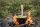 Petromax Holzspachtel mit Einbrand